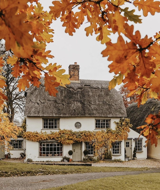 Cozy cottage with autumn leaves