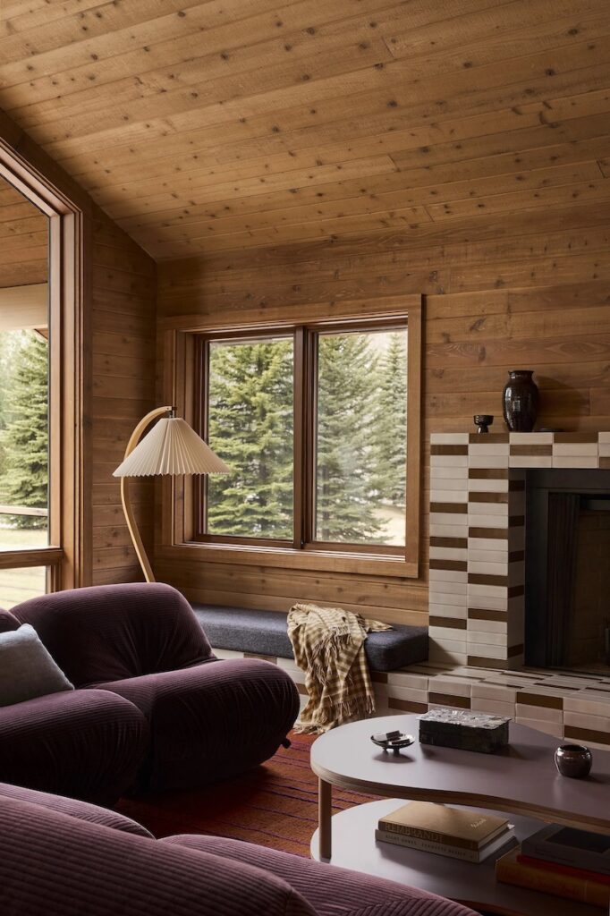 warm-and-cozy-ski-house
